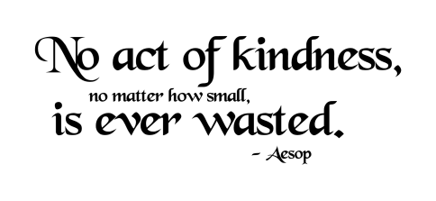 noactof-kindness-is-ever-wasted